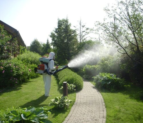 Защита растений