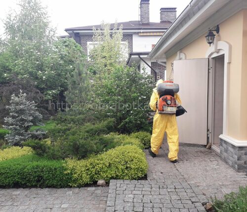 Защита растений