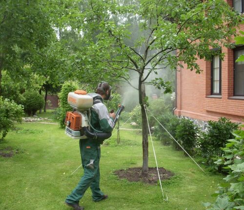 Защита растений