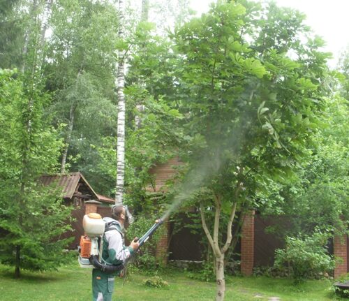 Защита растений