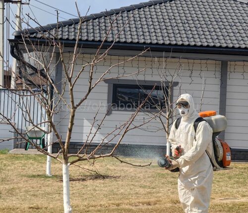 Защита растений